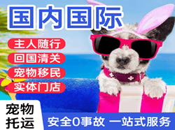 阳江合山空运公司国际宠物托运 【国